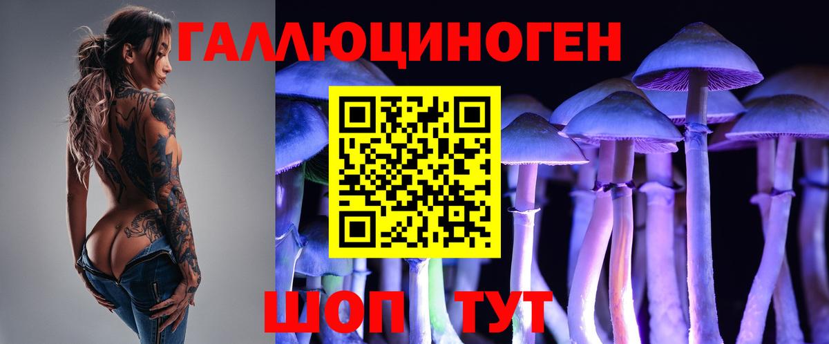 Белая Калитва  Галлюциногенные грибы Psilocybe  Вход с VPN 